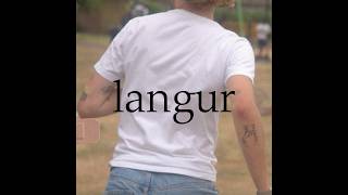 Langur