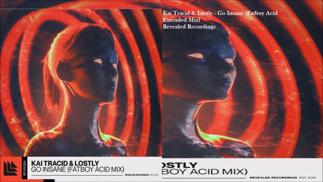 Go Insane Fatboy Acid Extended Mix