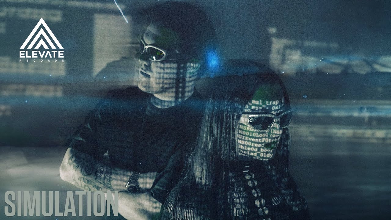 Simulation