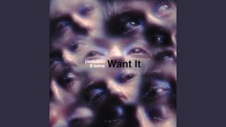 Want It Original Mix