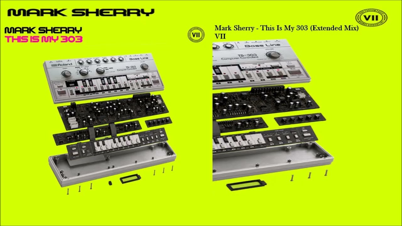 This Is My 303 Extended Mix