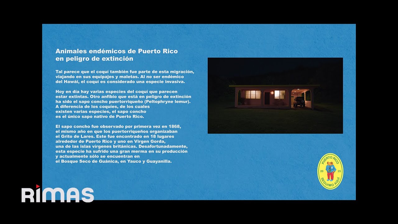 LO QUE LE PASÓ A HAWAii