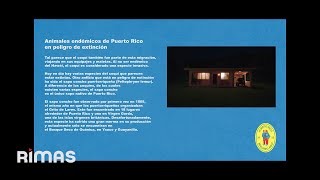 LO QUE LE PASÓ A HAWAii