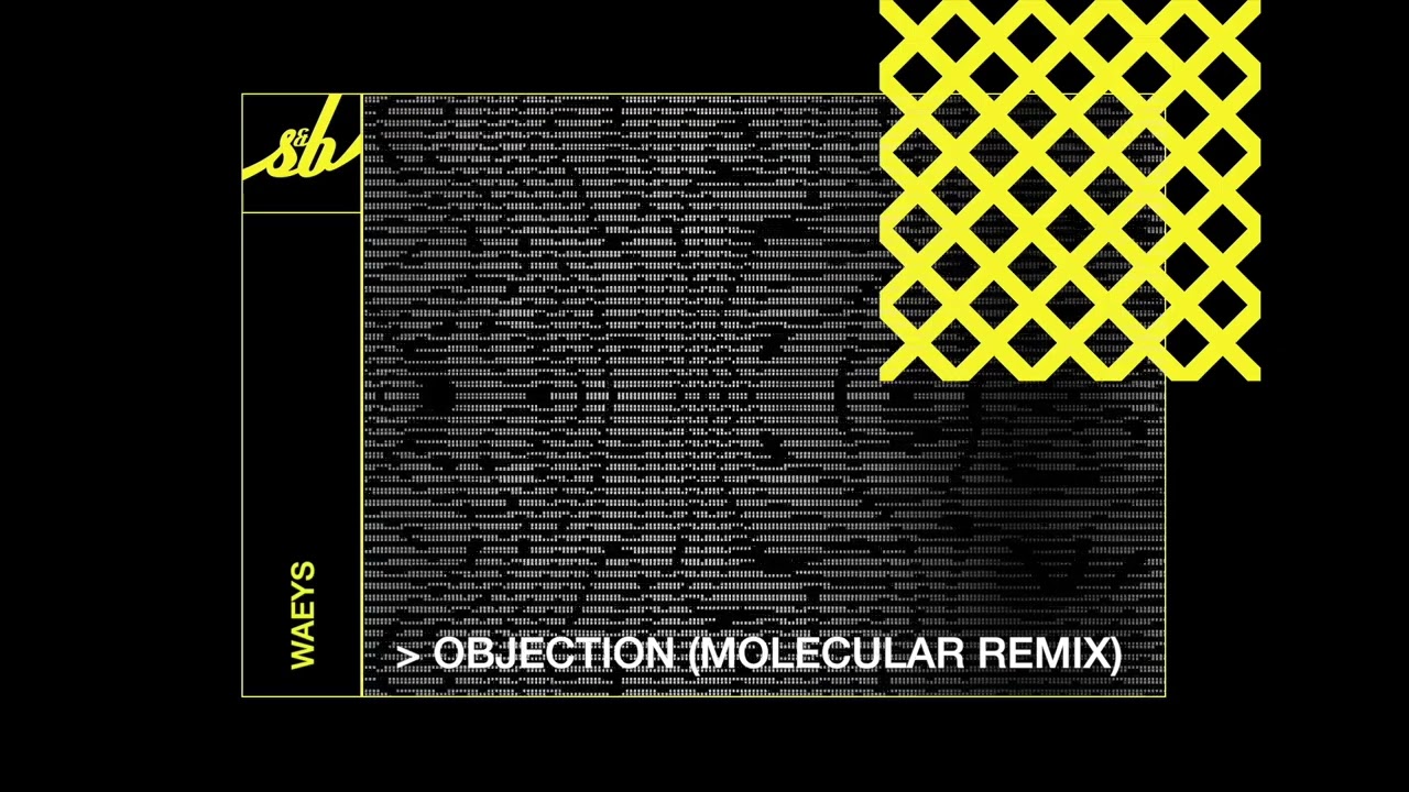 Objection (Molecular remix)