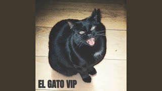 El Gato VIP
