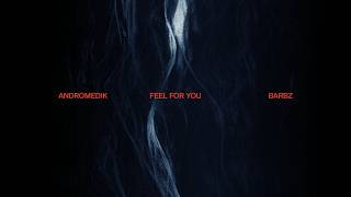 Feel For You (feat. BARBZ)